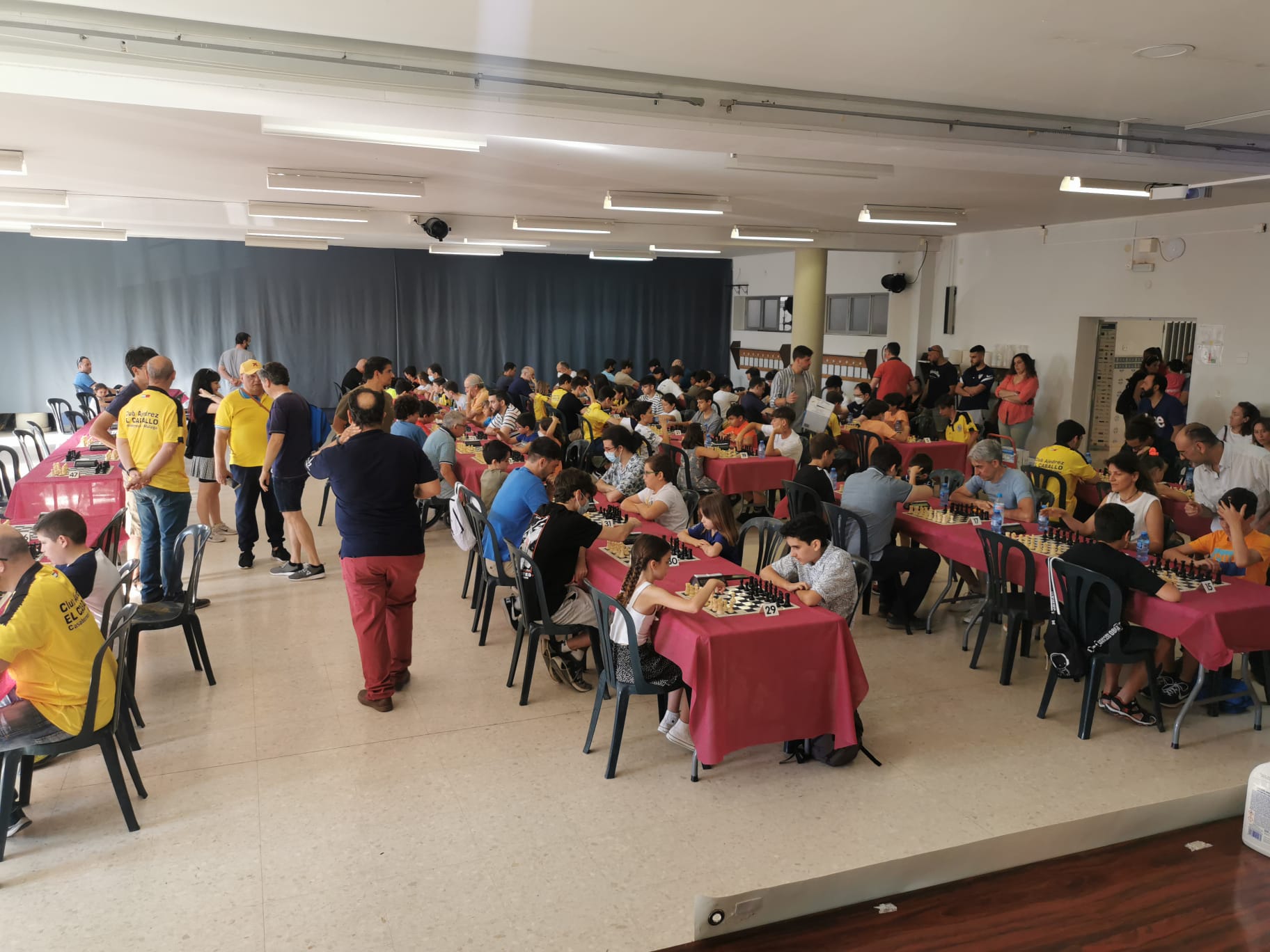 Éxito de participación en el 'I Torneo de ajedrez online' de Loyola Deportes